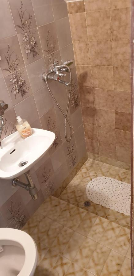 ロヴィニHaus Silviaアパートメント エクステリア 写真